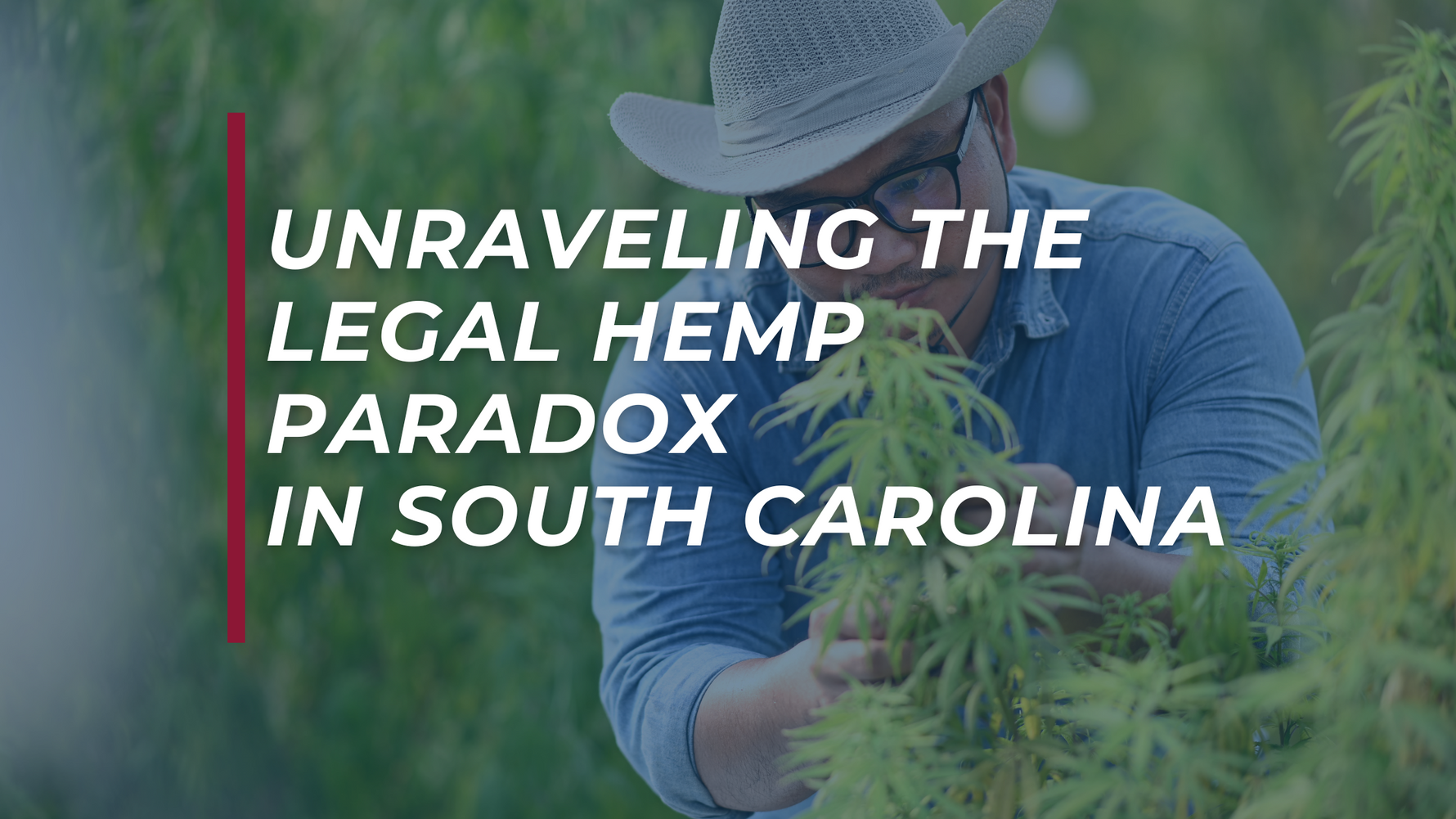 Unraveling the Legal Hemp Paradox in South Carolina