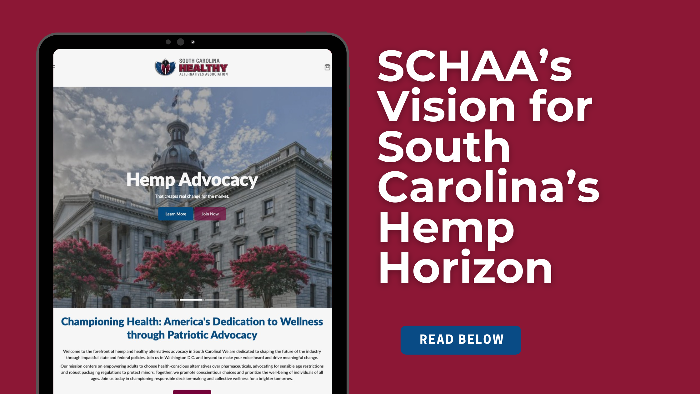 SCHAA's Vision for South Carolina's Hemp Horizon