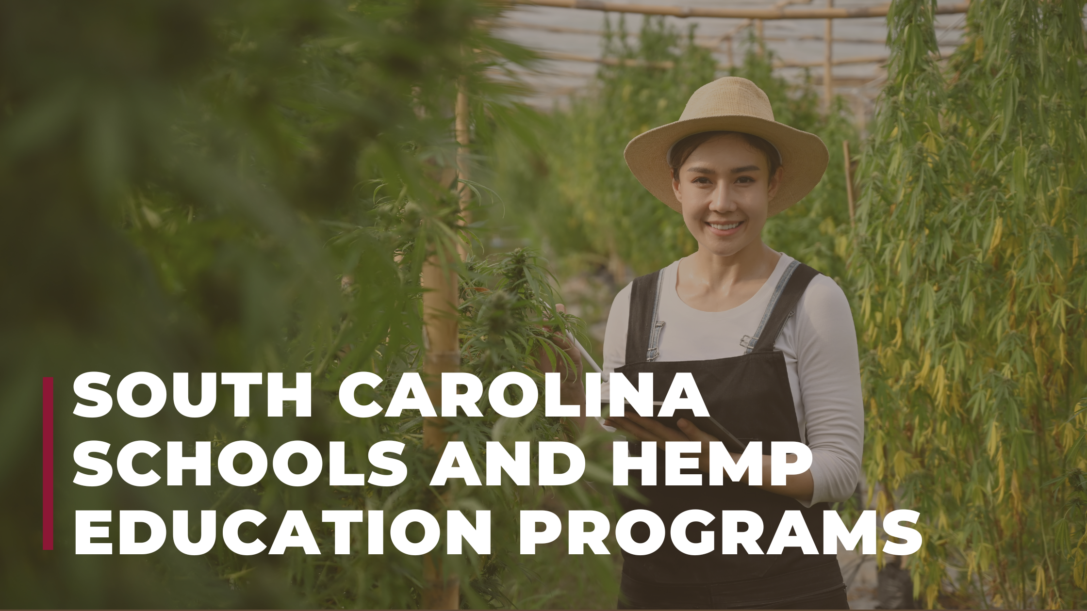 South Carolina Schools and Hemp Education Programs