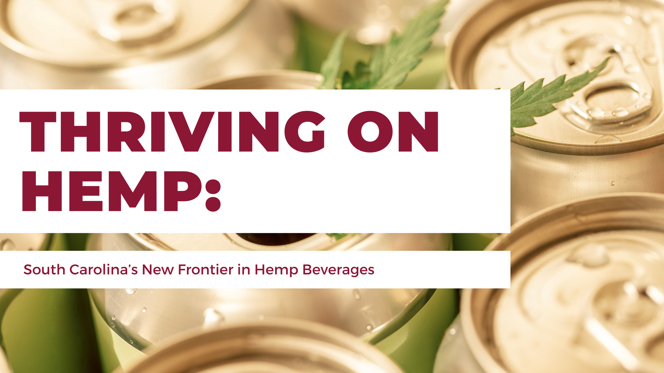 Thriving on Hemp: SC's New Frontier in Legal Beverages