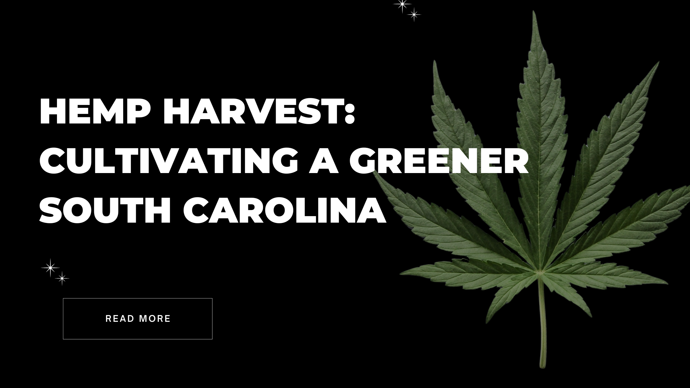 Hemp Harvest: Cultivating a Greener South Carolina